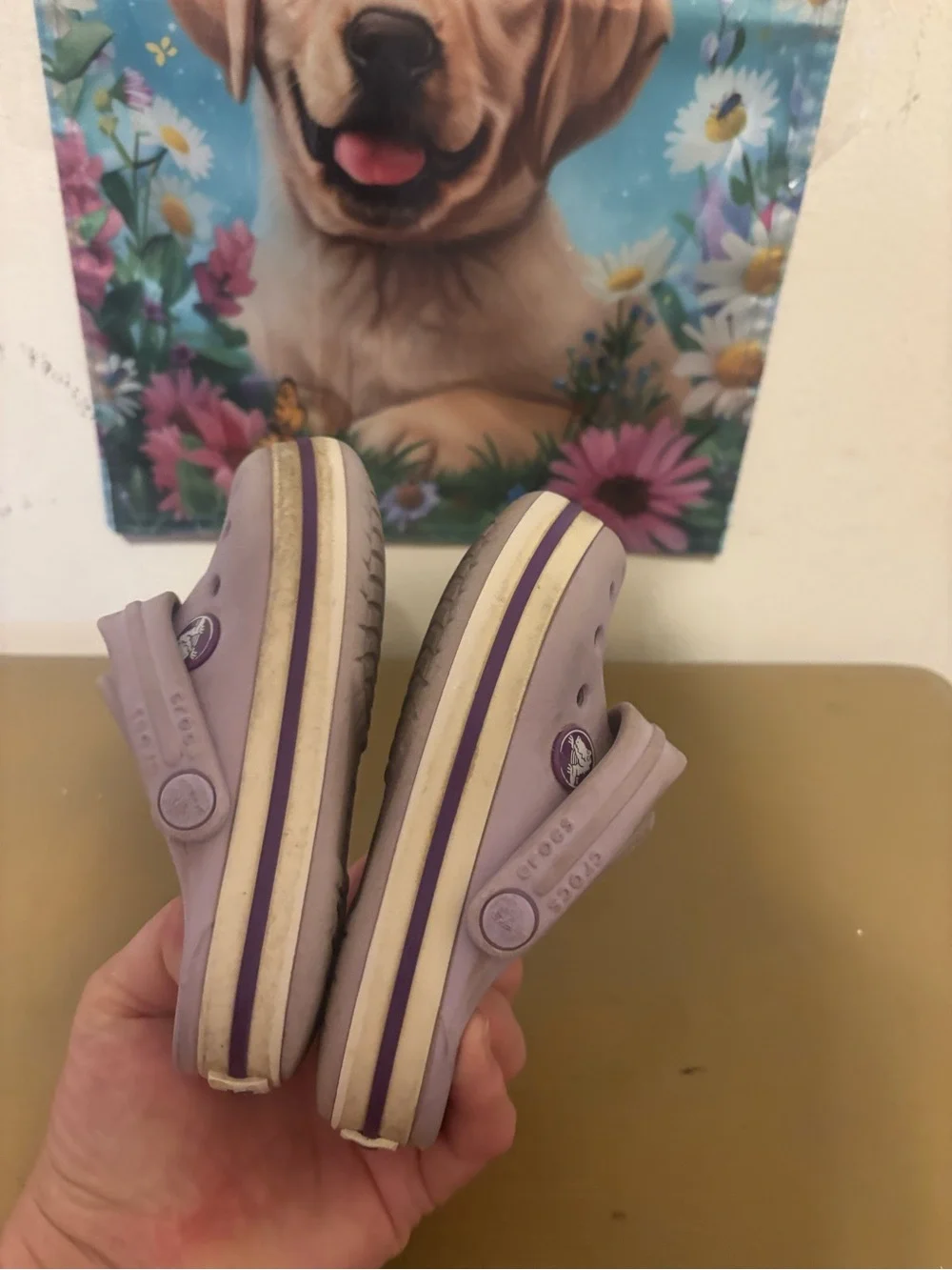 CROCS Kids Lavender Slip-On Clogs with Purple Trim - Picture 4 of 10